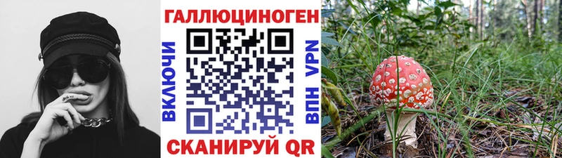 купить наркотик  мега ONION  Галлюциногенные грибы Psilocybine cubensis  площадка клад  Никольск 